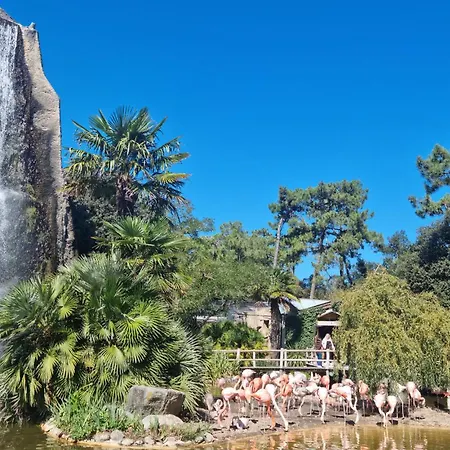 Διαμέρισμα Pet Friendly Saint-Georges-de-Didonne